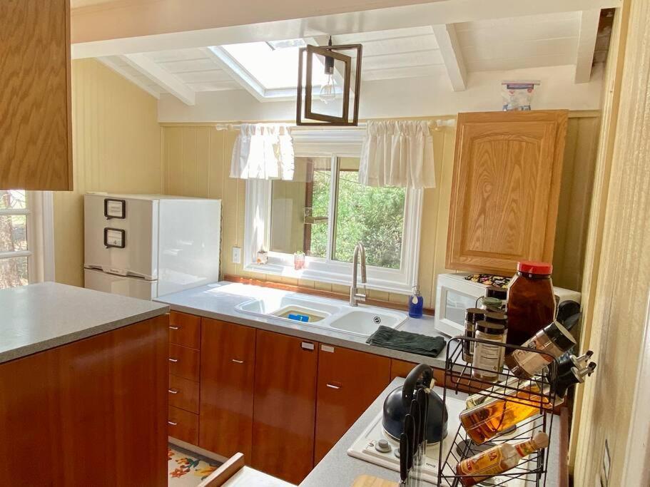 Snow Bunny Cottage, Pets Welcomed! Green Valley Lake Exterior foto